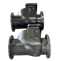 Cast Iron Reflux Valve - Application: Industrial