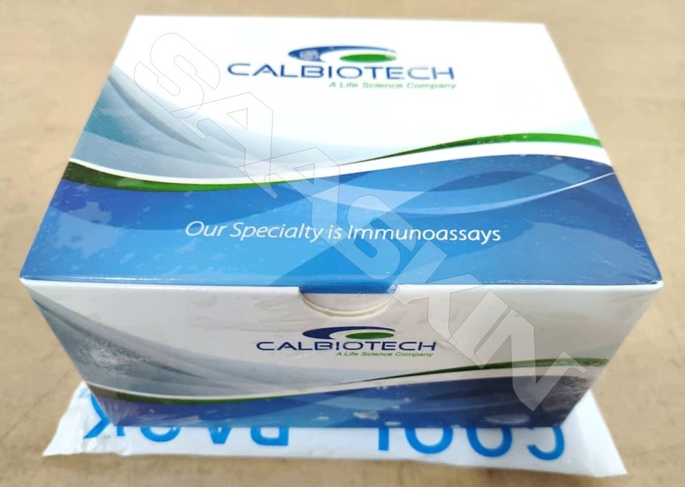 Calbiotech Free Beta hCG ELISA