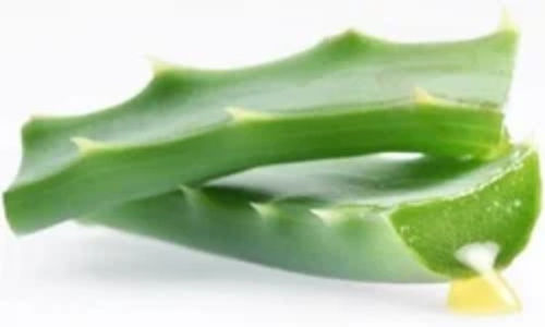 Aloe Vera Extract Products