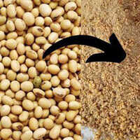 Soybean Meal - High Protein Feed Grade Ingredient | Brown Color, Promotes Healthy Digestion, Suitable for Cattle