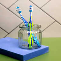 Shield Hygenic Tooth Brush