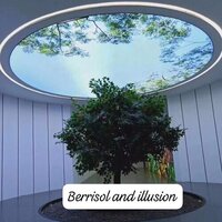 Dance Class Room Stretch Ceiling - Customizable Design, Any Size & Shape, .18mm Thickness | Reflective Surface For Enhanced Lighting & Aesthetics