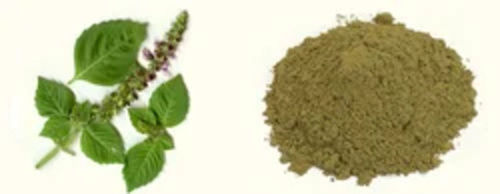 Tulsi Powder