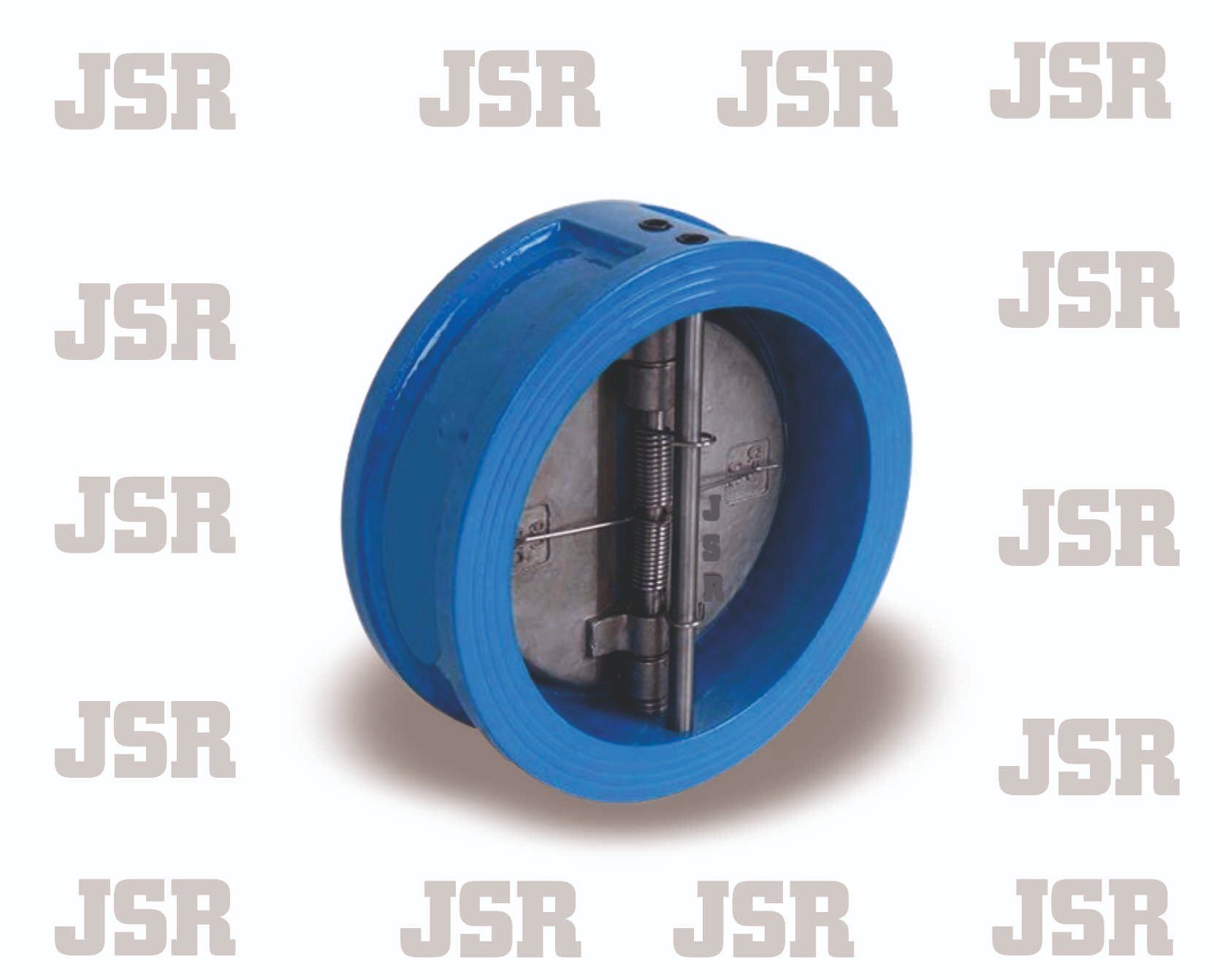 Dual Plate Check Valve CI