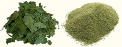 Neem Powder