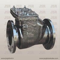 Cast Iron Check Valve