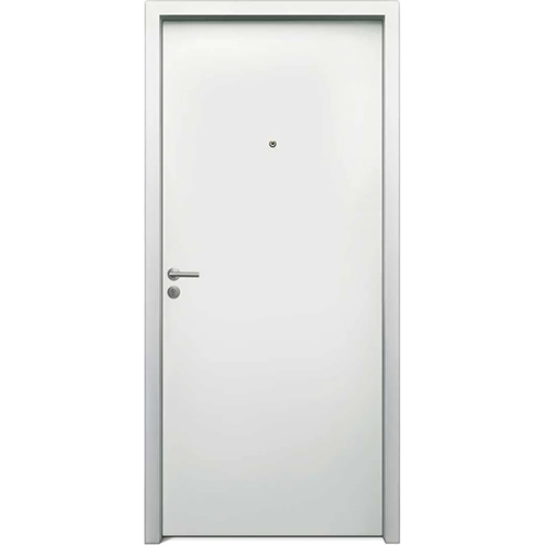 46 Mm Jsw Avante Steel Doors - Application: Commercial