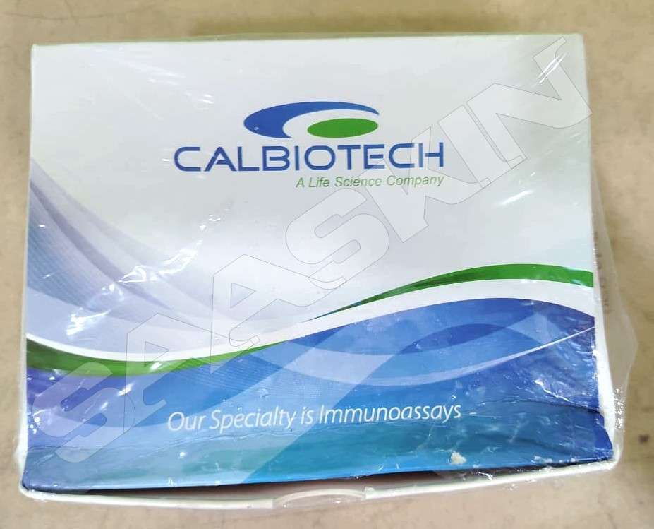 Calbiotech hCG ELISA