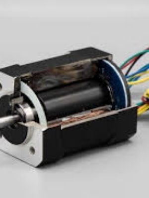 Brushless Direct Current(bldc) Motor - Material: Cast Iron