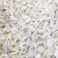 Sona Masoori Non Basmati Rice - Cultivation Type: Common