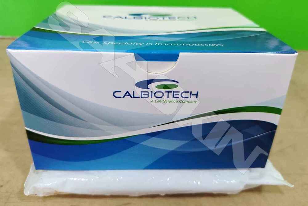 Calbiotech HSV-2 IgM ELISA