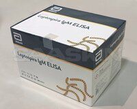 Abbott Panbio LEPTOSPIRA IgM ELISA