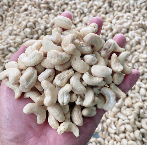 Natural Whole Cashew Nuts - W180, W240, W320 | Organic, Dried, Pure White, Low Moisture 7%, 12-Month Shelf Life, 1000kg Packaging, Flavor Varieties: Salted, Roasted, Fried, Raw