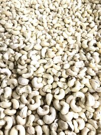 PROCESSED CASHEW NUTS