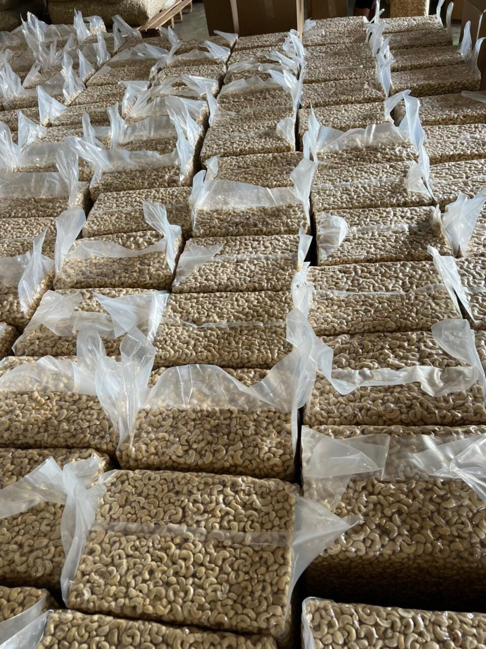 PROCESSED CASHEW NUTS