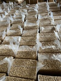 PROCESSED CASHEW NUTS