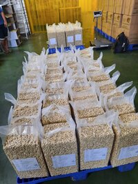 PROCESSED CASHEW NUTS