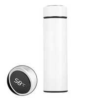 Led Temperature Display Bottle