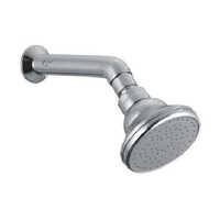 Brass Shower With Brass Arm