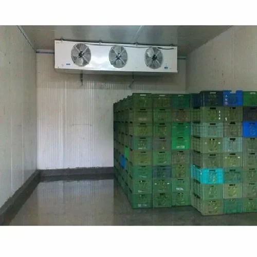 Automatic Ripening Chamber Insulation सेवा