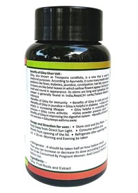 Giloy Ghan vati Tinospora cordifolia Ghan vati Neem Giloy 60 Vati
