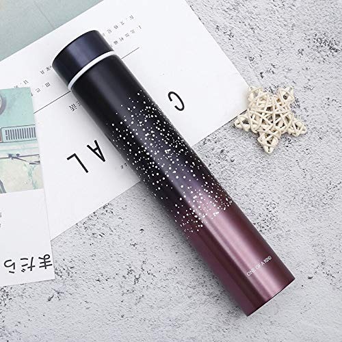 Mitsico Slim & Thin Stainless Steel Vacuum Insulated Thermos Water Bottle Dotted Print 1 Pcs, 280 Milliliters