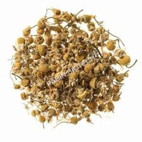 Dried Chamomile