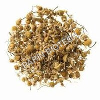Dried Chamomile - Color: Light Yellow & White