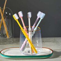 Plastic Toothbrush