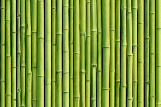 Natural BAMBOO