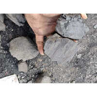 Black Lignite Coal
