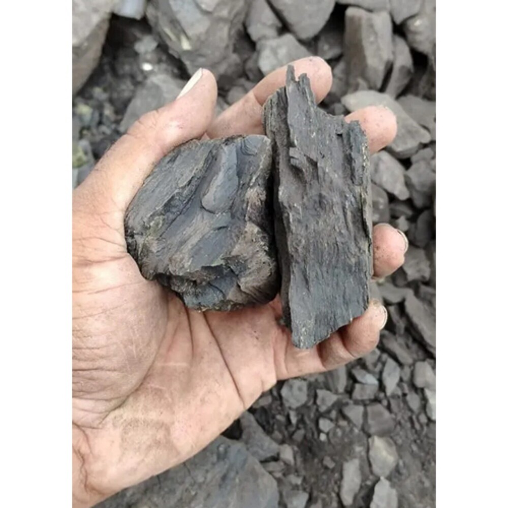 20Mm To 50Mm Lignite Coal - Ash Content (%): 6%