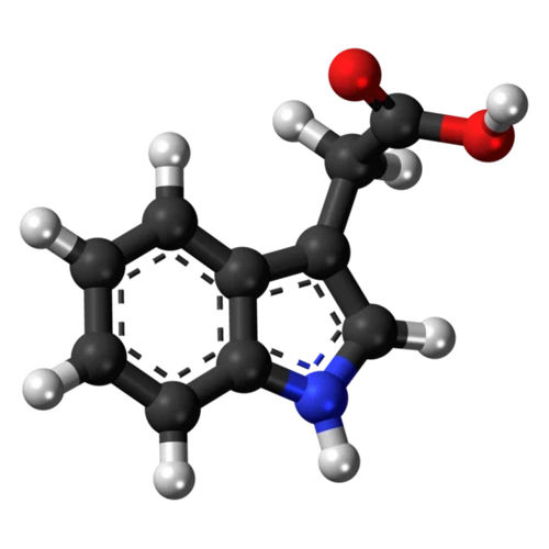 Indole-3 Acetic Acid - Physical State: Powder