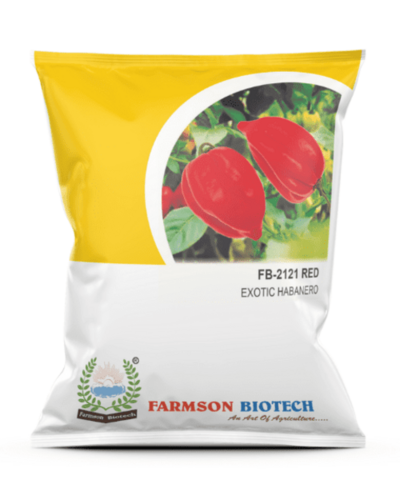 Chilli Seeds (Very Hot) -2121 Red Habanero - 200000-425000 Shu, 4-5 Cm Fruit Length, Green To Turn Red, High Pungent, 99% Purity