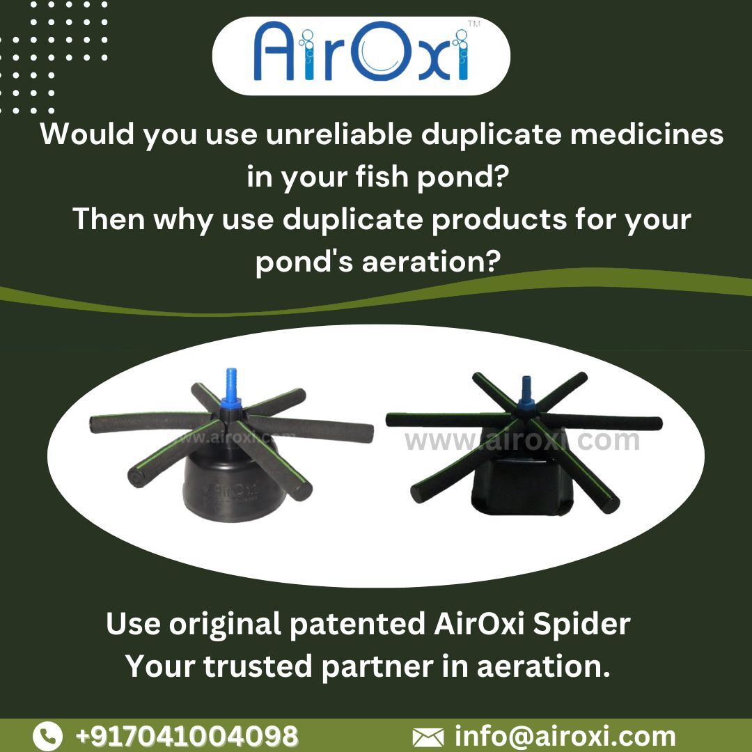 Airoxi Spider