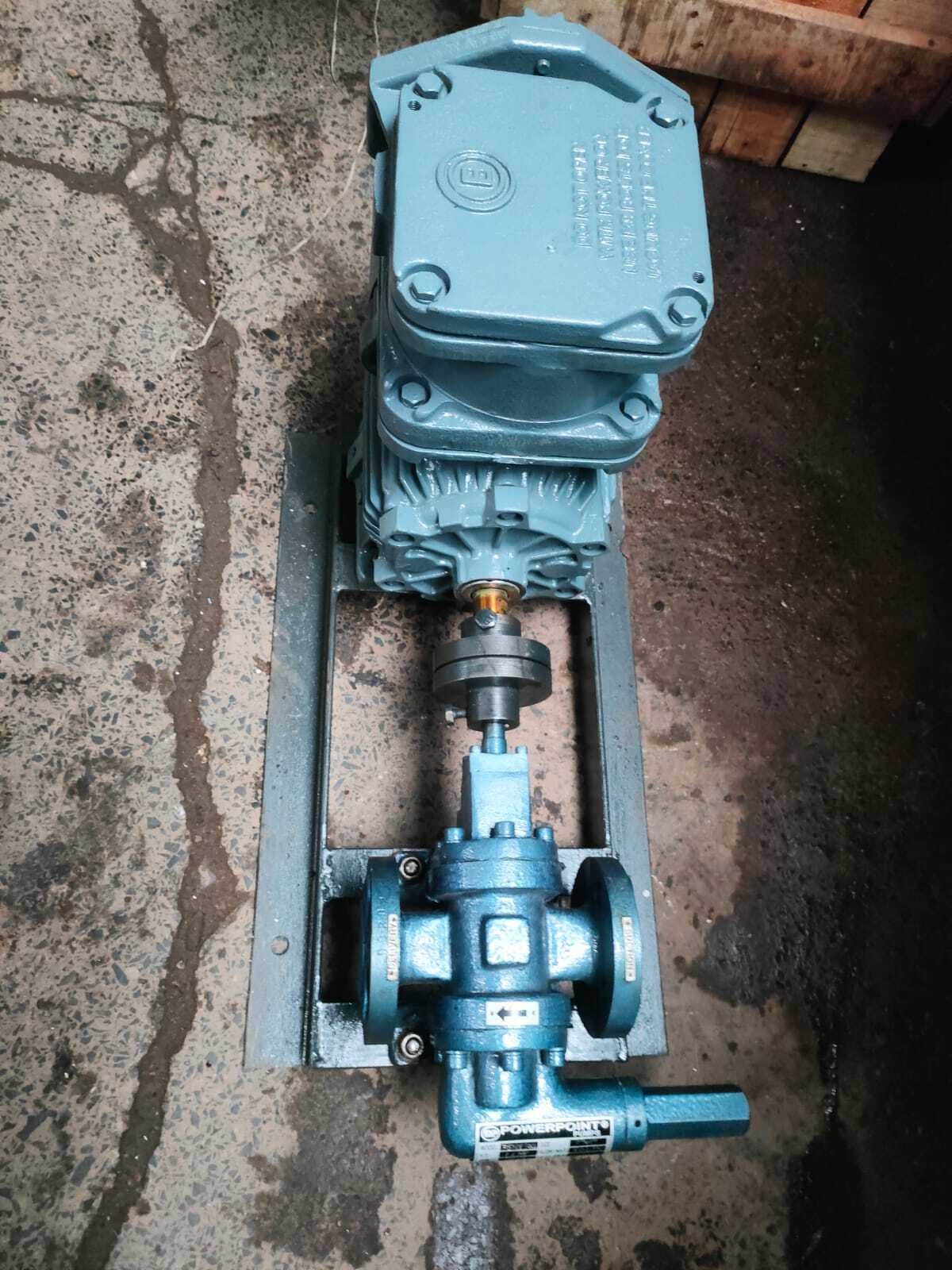 Flameproof gear pump