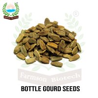 Bottlegourd Seeds FB-Vamgold F1 Hybrid