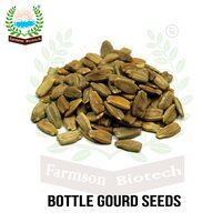 Bottlegourd Seeds FB-Vamgold Plus F1 Hybrid