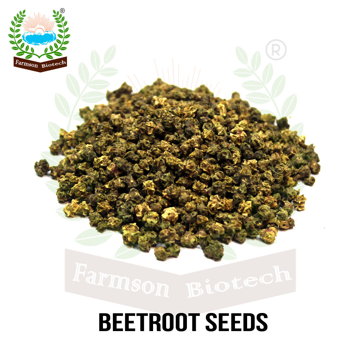 Beetroot Seeds FB-Red Ball