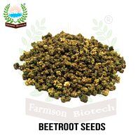 Beetroot Seeds FB-Red Ball