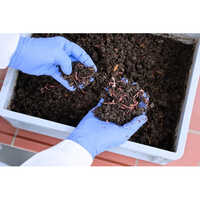 Land Soil Testing Service