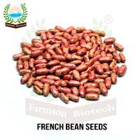 French Bean Seeds FB-White Pearl