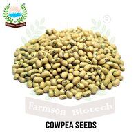 Cowpea Seeds FB-Kirti