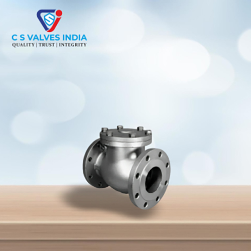 Swing Check Valves