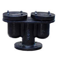 Ajanta Ci Air Valve - Color: Black