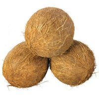 Natural Brown Coconut - Cultivation Type: Common