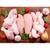 High Quality Fresh Chicken