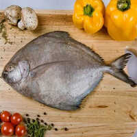Black Pomfret Fish - Shape: Piece