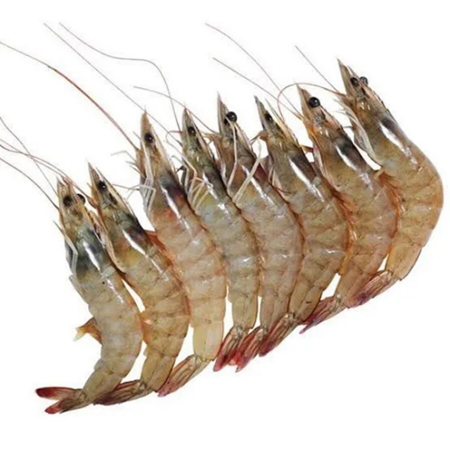 Fresh Prawn - Boneless, Cooked Body Meat Preserved in Oil, Easy-to-Cook Pieces , Fresh with 6-12 Months Shelf Life