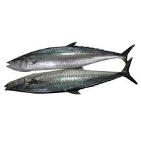 Indo-pacific King Mackerel Fish - Additives: None